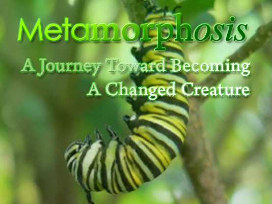 Metamorphosis: A Journey Toward Becoming A Changed Creature