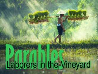 Laborers in the Vineyard