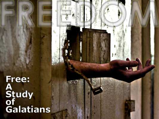 Free: A Study of Galatians