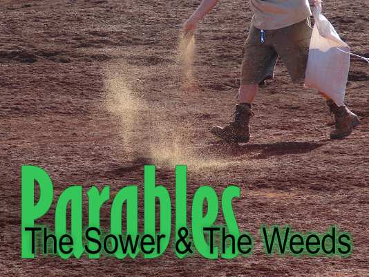 The Sower and The Weeds