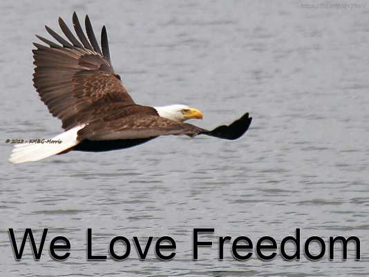 We Love Freedom