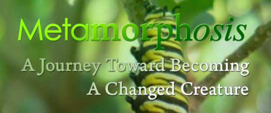 Metamorphosis: A Journey Toward Becoming A Changed Creature