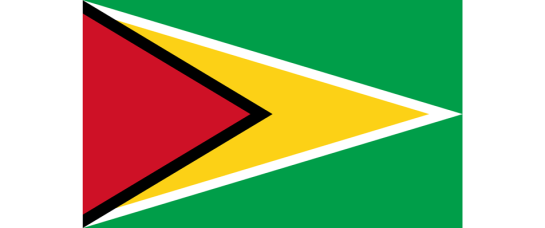 Guyana Mission