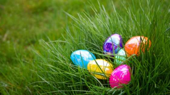 Easter Egg Hunt