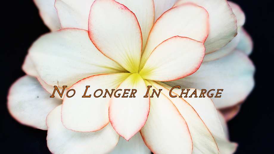 No Longer in Charge