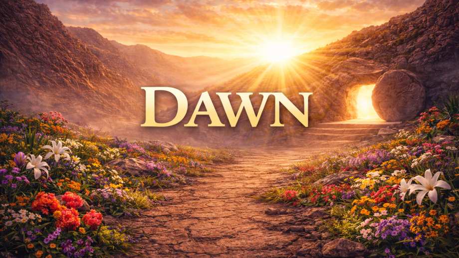 Dawn