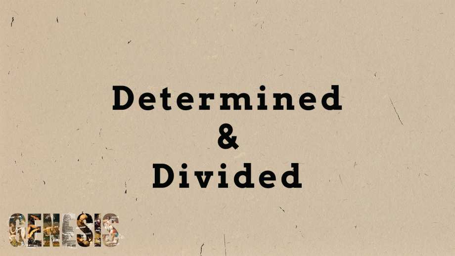 Determined and Divided