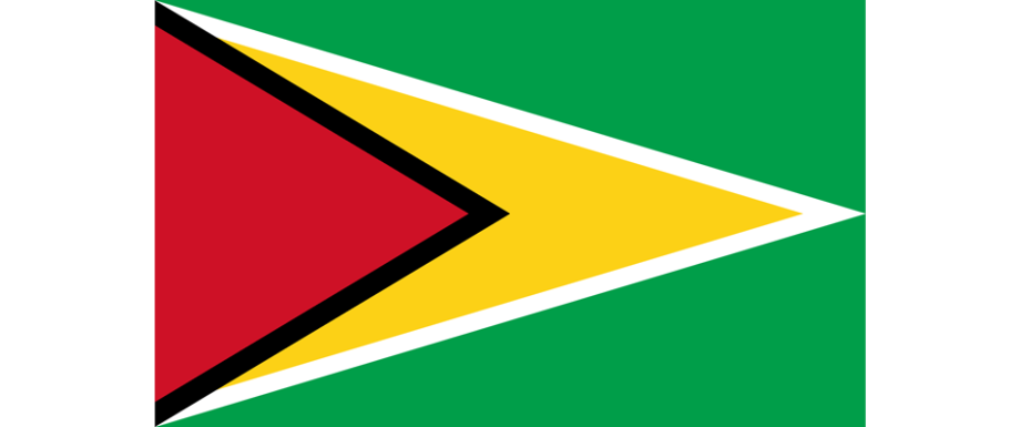 Guyana Mission