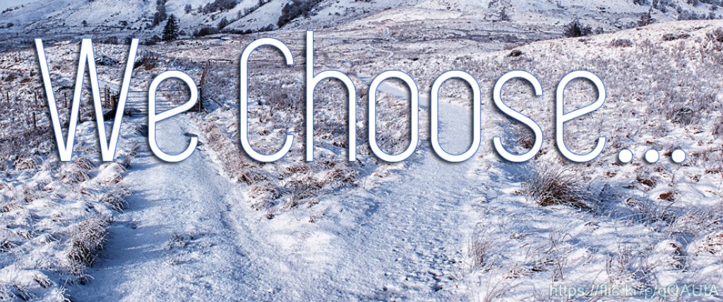 We Choose...