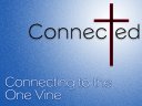 Connected to the One Vine