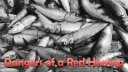 Dangers of a Red Herring