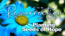 The Resurrection: Planting Seeds of Hope